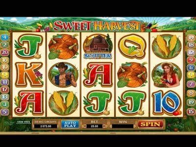 Sweet Harvest Slot Review (2024) .